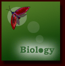 Biology (Увеличить)